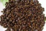 Cassia Seed Extract